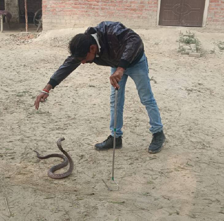 अयोध्या में कुएं में गिरे वृद्ध को सांप ने काटा, मौत